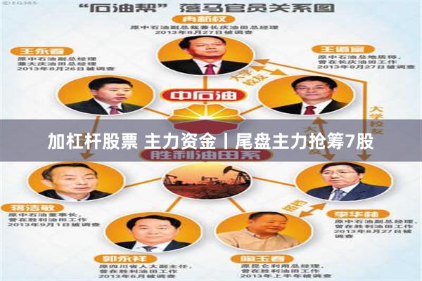 加杠杆股票 主力资金丨尾盘主力抢筹7股