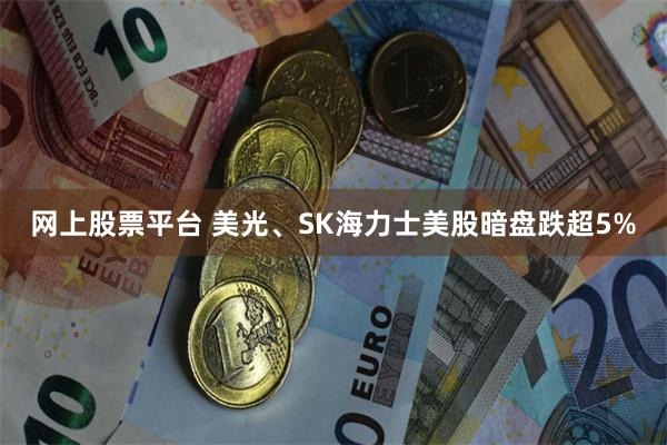 网上股票平台 美光、SK海力士美股暗盘跌超5%