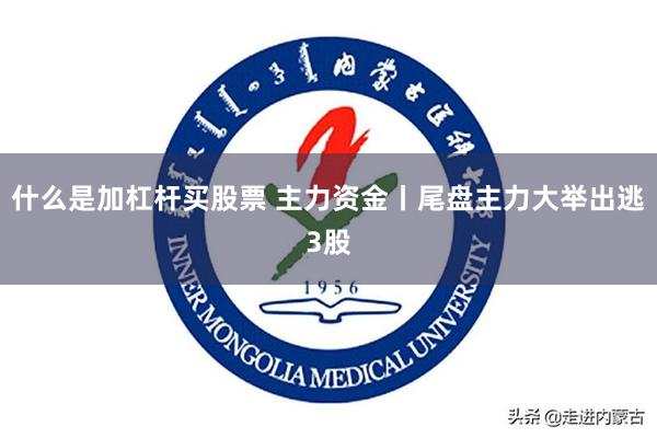 什么是加杠杆买股票 主力资金丨尾盘主力大举出逃3股