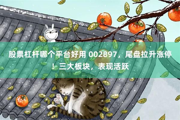 股票杠杆哪个平台好用 002897，尾盘拉升涨停！三大板块，表现活跃