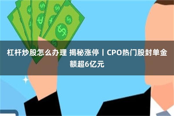 杠杆炒股怎么办理 揭秘涨停丨CPO热门股封单金额超6亿元