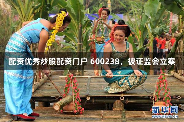 配资优秀炒股配资门户 600238，被证监会立案