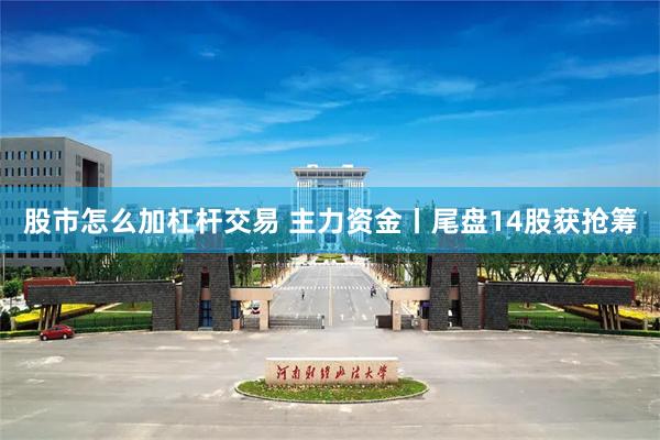 股市怎么加杠杆交易 主力资金丨尾盘14股获抢筹