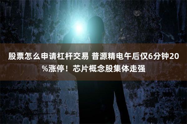 股票怎么申请杠杆交易 普源精电午后仅6分钟20%涨停！芯片概念股集体走强