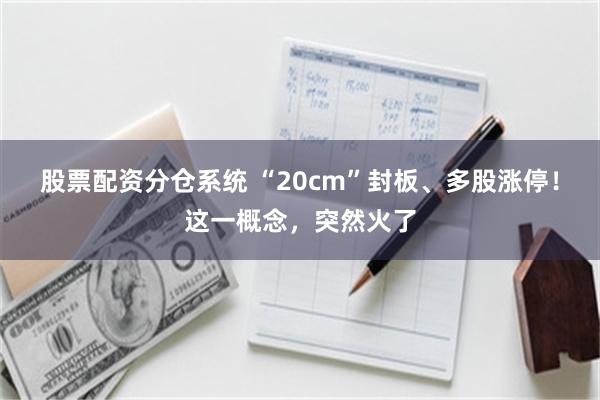 股票配资分仓系统 “20cm”封板、多股涨停！这一概念，突然火了