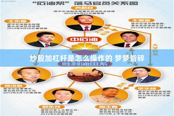 炒股加杠杆是怎么操作的 梦梦皆碎