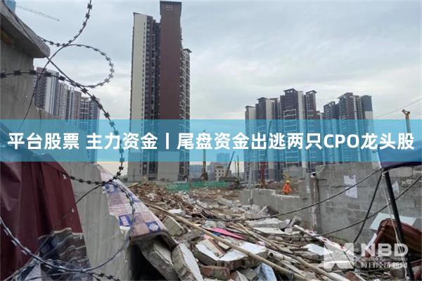 平台股票 主力资金丨尾盘资金出逃两只CPO龙头股