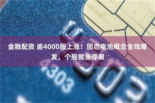 金融配资 逾4000股上涨!固态电池概念全线爆发,个股掀涨停潮