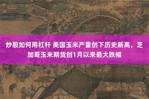 炒股如何用杠杆 美国玉米产量创下历史新高，芝加哥玉米期货创1月以来最大跌幅