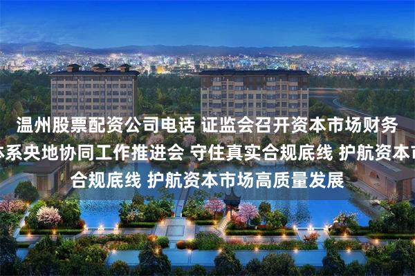 温州股票配资公司电话 证监会召开资本市场财务造假综合惩防体系央地协同工作推进会 守住真实合规底线 护航资本市场高质量发展