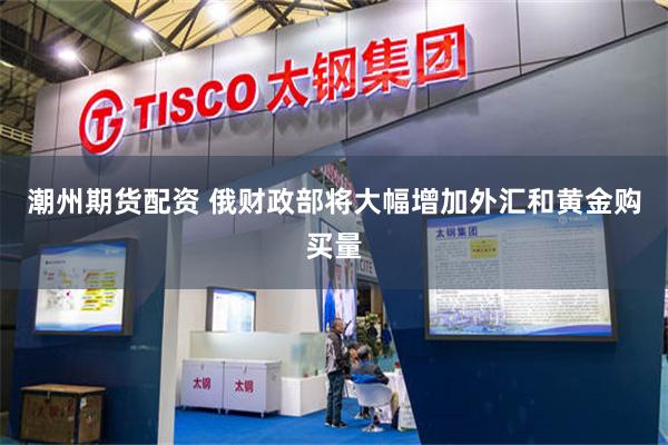 潮州期货配资 俄财政部将大幅增加外汇和黄金购买量