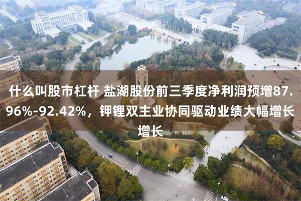 什么叫股市杠杆 盐湖股份前三季度净利润预增87.96%-92.42%，钾锂双主业协同驱动业绩大幅增长