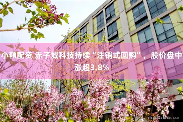 小额配资 赤子城科技持续“注销式回购”，股价盘中涨超3.8%