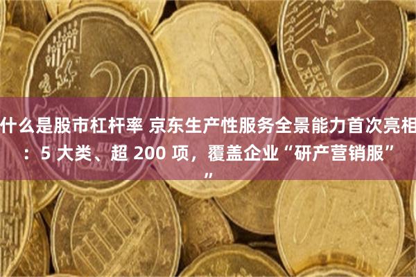 什么是股市杠杆率 京东生产性服务全景能力首次亮相：5 大类、超 200 项，覆盖企业“研产营销服”